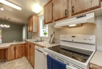 Glass top stove and dishwasher with garden window facing side yard.