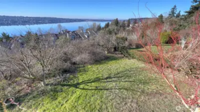 Back yard with fruit trees on site