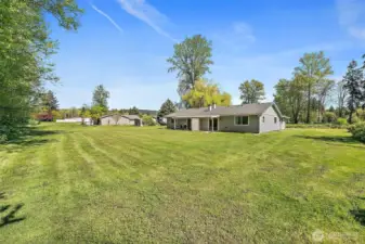 Spacious Backyard