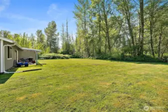 Spacious Backyard
