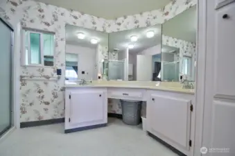 Large primary bath with walk-in shower.