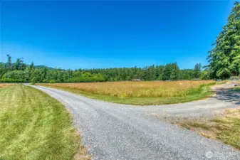 Quintessential dirt road on Orcas Island.