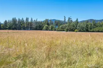 In the field looking ~west.