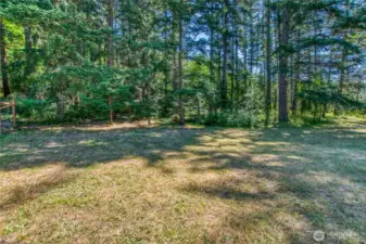 The border where the meadow meets the forest. Approximately 1.5 acres of forest along the easter portion of the parcel.