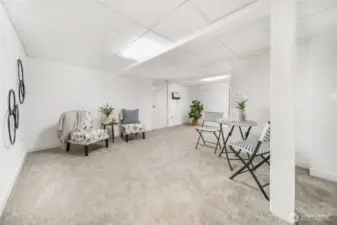 Lower level has it's own seperate entrance, newer carpet.