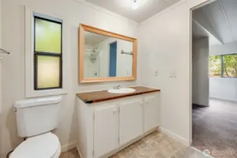 Primary bathroom offers lots of space.
