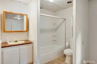 The full bathroom in the extra finished room.