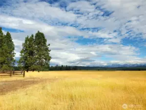 Vast open meadows reach to the Stuart Mountain Views