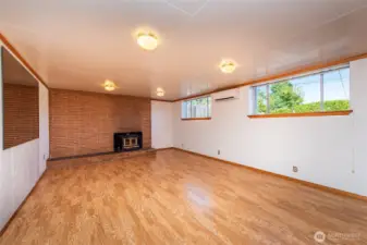 Lower Level Living Room w/ wood burning stove.