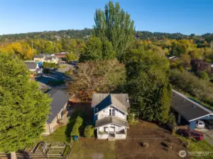 Large lot with mature fruit trees.  A large sugar maple sits directly behind the home.