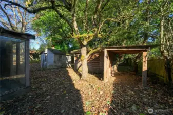 Chicken coop and storage shed.