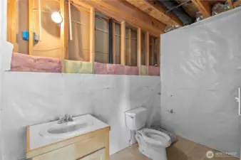 unfinished bathroom in basement
