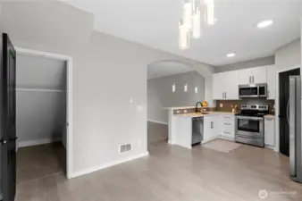 Extra large under the stairwell storage closet off of the dining room