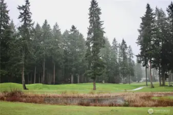 The golf course is beautiful even on a winter foggy day.