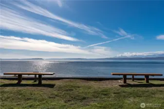 Picnic area at Lighthouse Shores