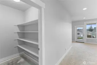 Panty/Storage Closet