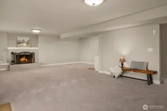 Lower Floor Bonus Room