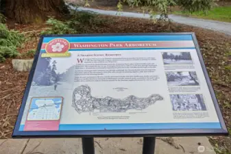 Washington Park Arboretum, so beautiful.