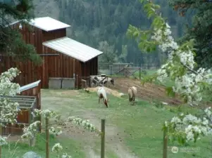 8 stall horse barn with heated tack room and hay storage