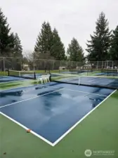 Pickleball court located in back of community.