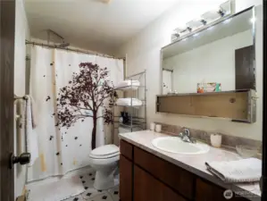 The full bath is located in the "sleeping" section of the home and has a walk-in tub.