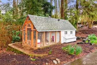Chicken coop!