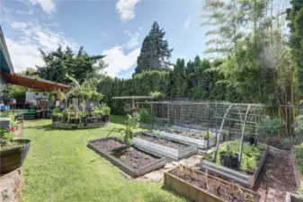 Step into your own private paradise – a sprawling, luxurious and fenced backyard that's perfect for both relaxation and entertainment. A wonderful space to cultivate your green thumb and nurture your own garden.   Imagine harvesting fresh herbs, vibrant flowers, and bountiful produce right outside your door!