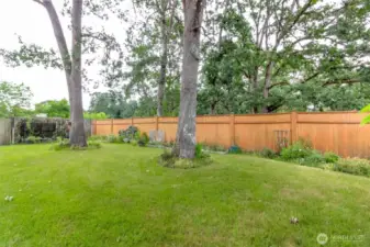 Fenced Backyard