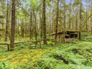 This beautiful 4.7-acre property offers the perfect blend of open space and potential. Whether you're dreaming of a hobby farm, a private retreat, or bringing horses back to the property, the possibilities are endless