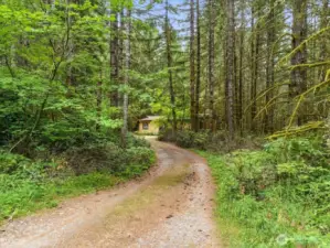 The private drive to the adjacent parcel enhances the sense of separation while still keeping everything conveniently connected to the main property.