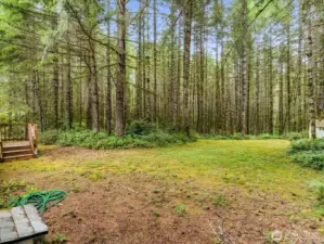 The backyard of the SCU is surrounded by greenery providing a sense of calm and seclusion.
