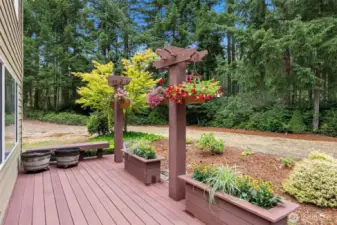 Trex Decking