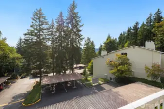 View from balcony