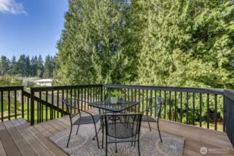 Deck from the family room looking out at the backyard