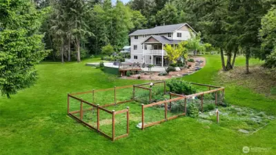 Fenced Garden with Raised beds, raspberries and blueberries
