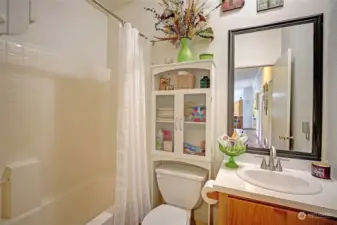 Guest bathroom