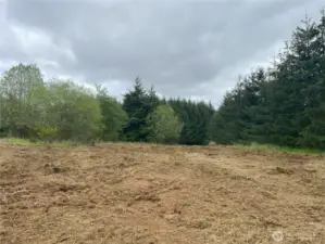 Top of hill facing east