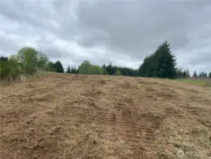 Mid-slope facing east