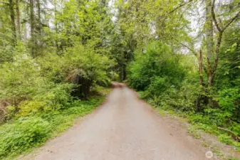 Drive into the home