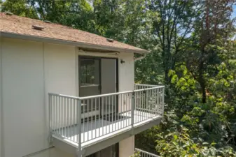 Sun deck perched high feels like a treehouse!