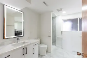 Lower Level Bathroom