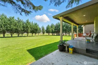 Gorgeous backyard with plenty of room for a swimming pool!