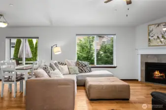 Views over yard into greenspace