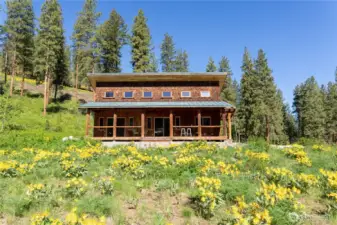 Flowers, summer 2025