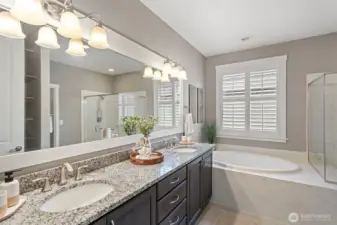 Primary ensuite - much larger in person!