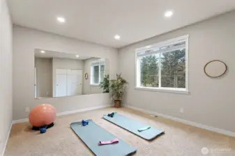 Another bedroom space - or gym, office, playroom...