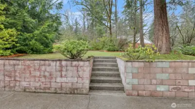 Expansive backyard patio