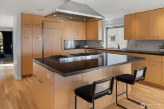 Island & countertops are slab granite