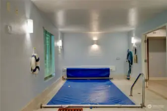 Endless Pool Located in Finished Basement