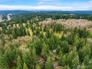 Backs to Wellington Hills Park, a 40 acre uninterrupted green space for the community